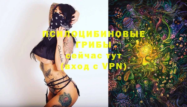 a pvp Верея