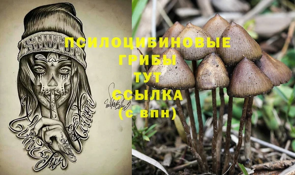 a pvp Верея