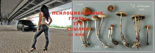 прущие крисы Верхний Тагил