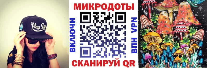 Галлюциногенные грибы Psilocybe  где купить наркотик  Пенза 