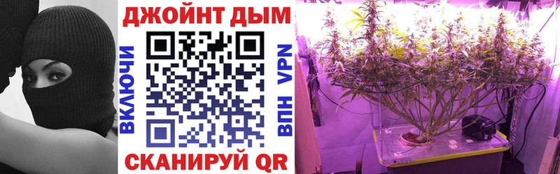 Конопля семена  Пенза 
